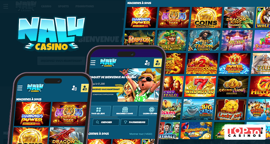 Accessibilité de Nalu Casino sur les appareils mobiles