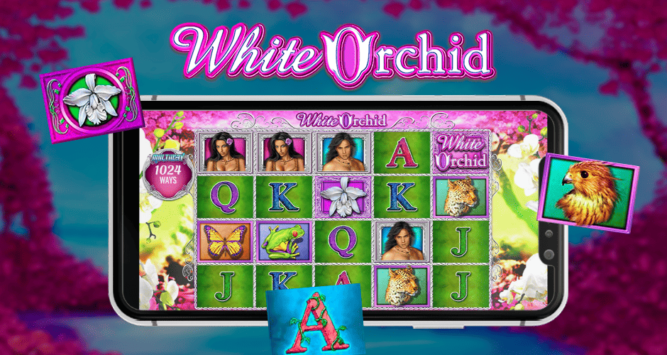 White Orchid