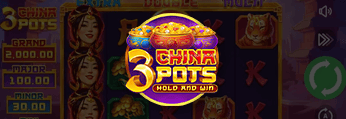 3 China Pots