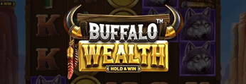 Buffalo Wealth Hold and Wins