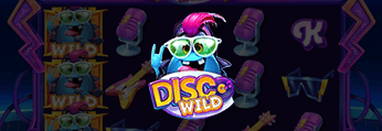 Disco Wild