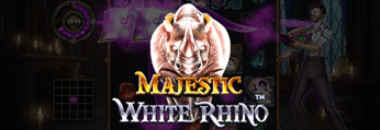 Magestic White Rhino