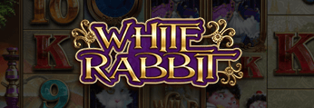 White Rabbit