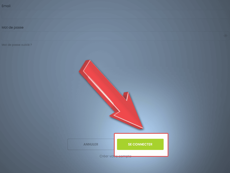 Cliquez sur Se Connecter