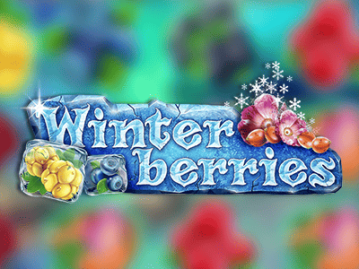 Winter Berries