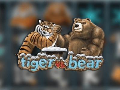 Tiger Vs. Bear Siberian Standoff