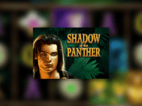 Shadow of The Panther