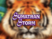 Sumatran Storm