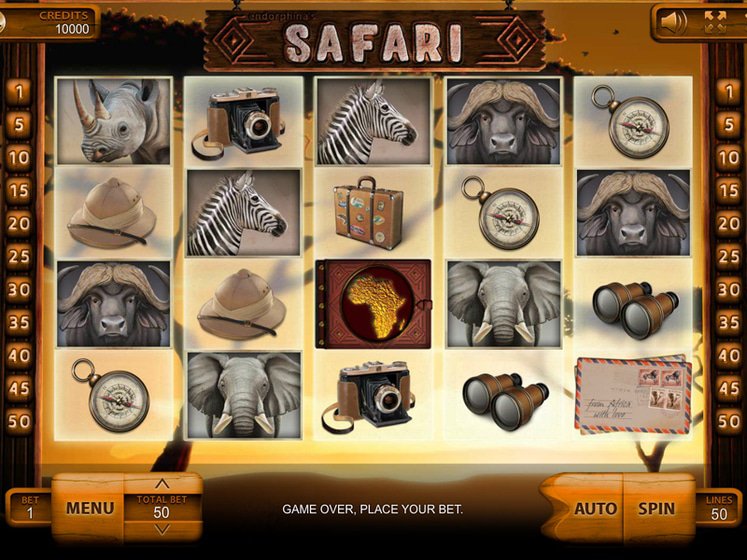 Safari