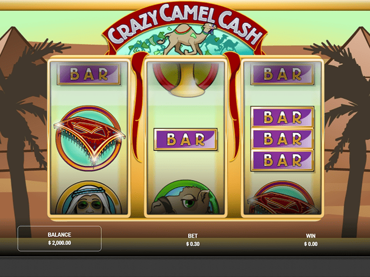 Crazy Camel Cash