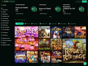 Pure Casino website