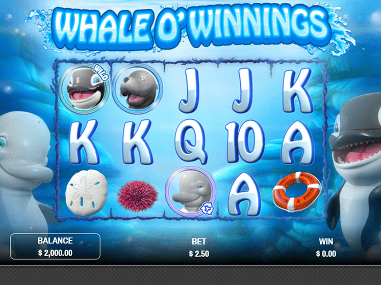 Whale O' Winnings